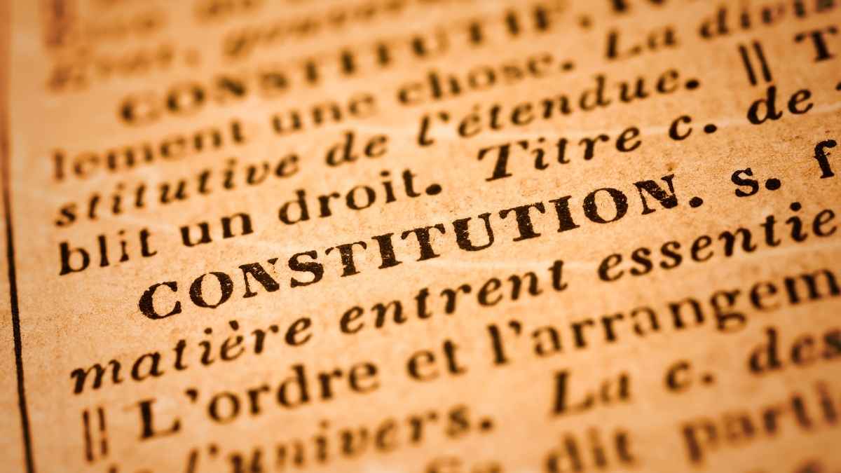 Party Constitution
